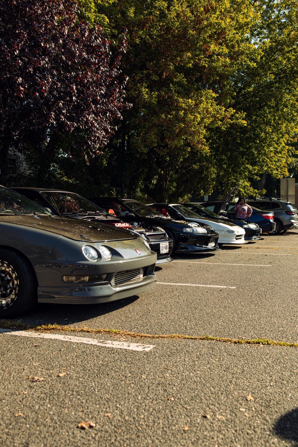 Honda lineup at cars and coffee